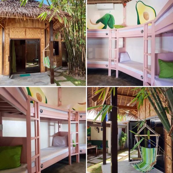 Siargao Resorts - Avocado Hostel | Moneymax