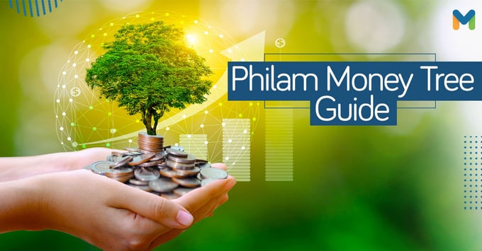 philam money tree l Moneymax