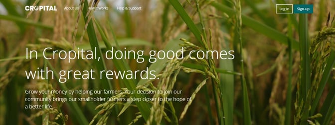 crowdfunding sites Philippines - Cropital crowdfunding sites Philippines - Cropital