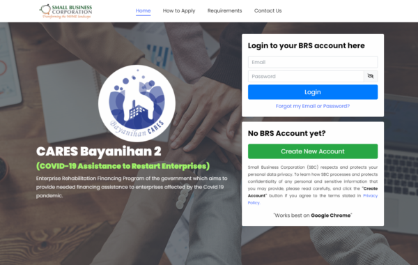 DTI loans for small business - P3 CARES Bayanihan 2 Borrower Registration System