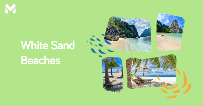 White Sand Beaches in the Philippines l Moneymax