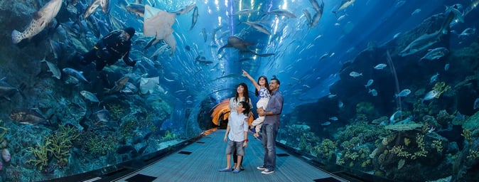 best family holiday destinations in the world - dubai aquarium