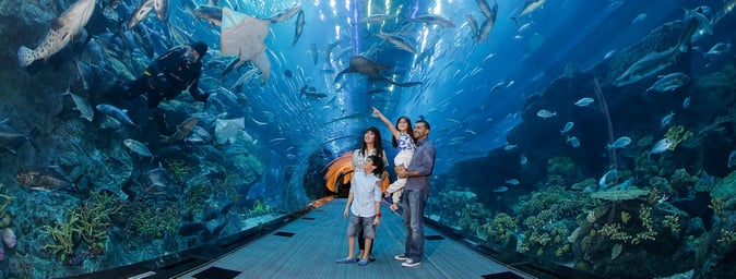 best family holiday destinations in the world - dubai aquarium best family holiday destinations in the world - dubai aquarium