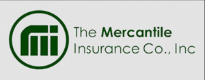 top car insurance in the Philippines - mercantile insurance co. inc.