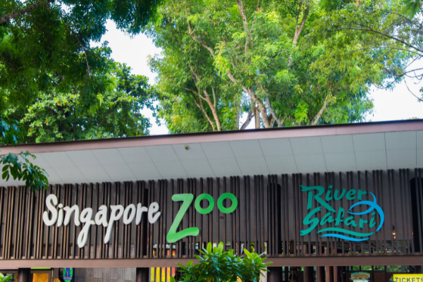 best family holiday destinations in the world - singapore zoo