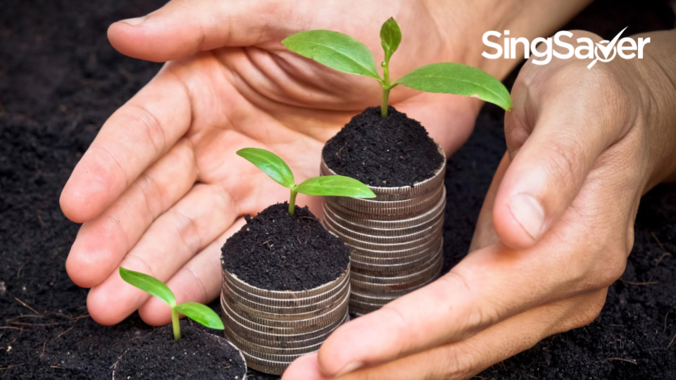 Can You Make Money From Ethical Investing SingSaver