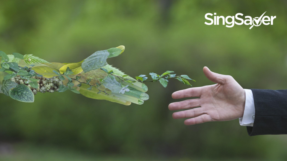 Types of Ethical Investments Available For Investors