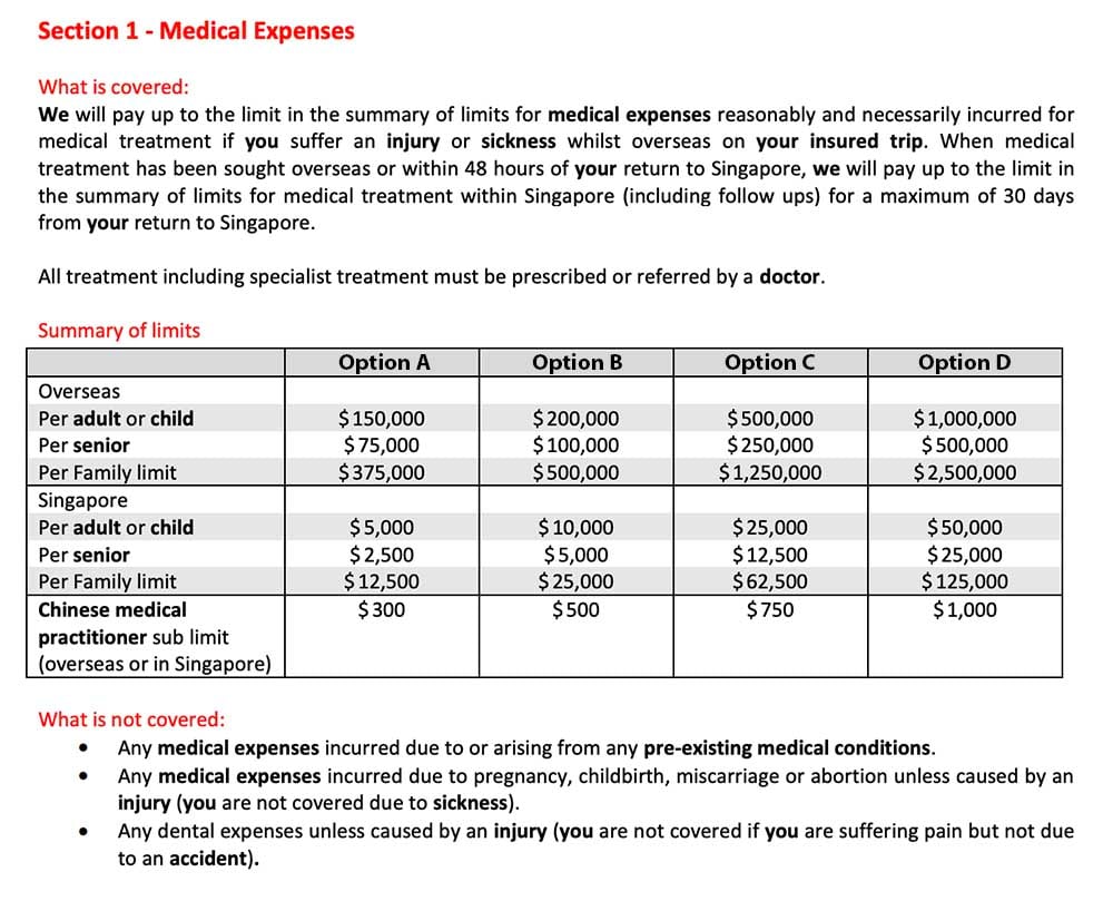 Group Travel Policy Insurance Provider B | SingSaver