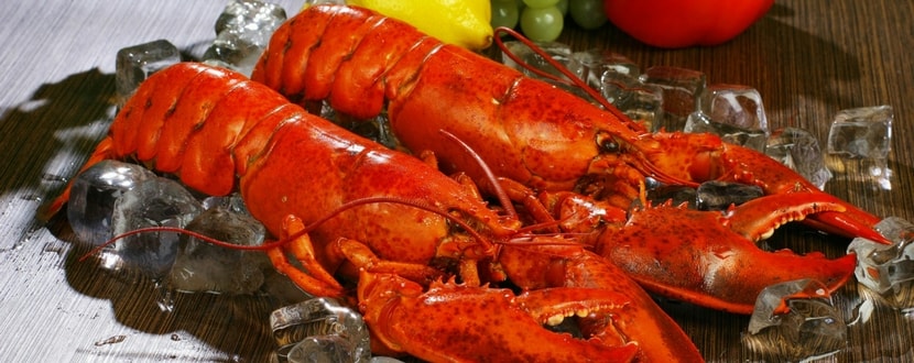 lobsters