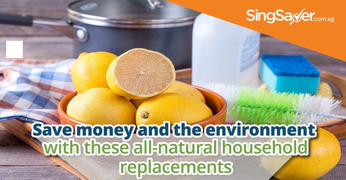 natural household replacements save money