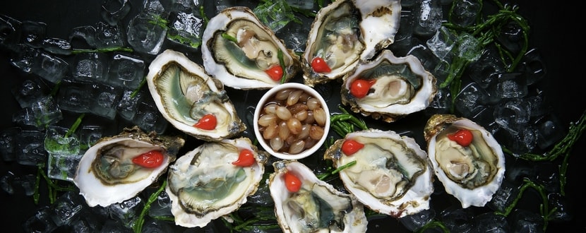 oysters