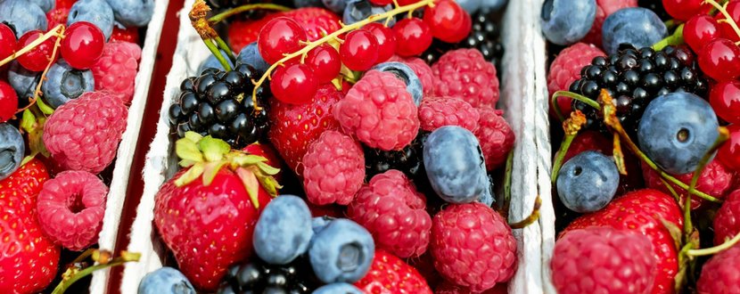 assorted berries  - SingSaver