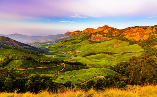 Munnar Kerala