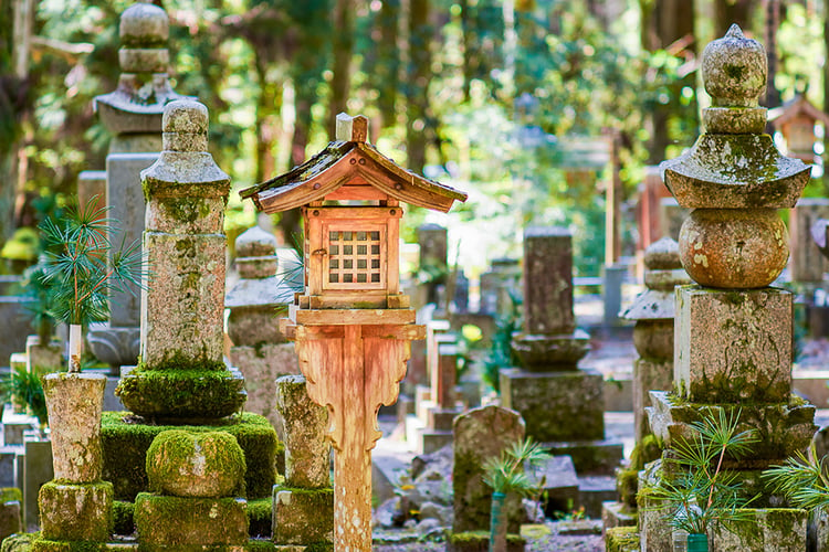 5 Beautiful Places in Japan You Didn't Know Existed | SingSaver