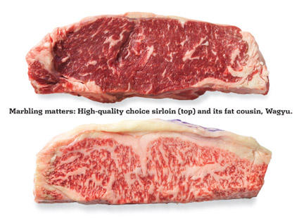 sirloin vs wagyu