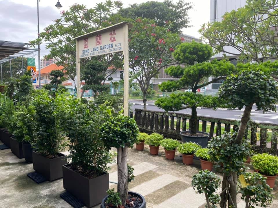 8 Best Plant Nurseries In Singapore 2021 (Create Your Indoor Garden)