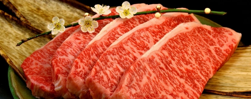 wagyu beef