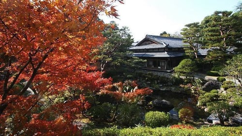 autumn view of yoshikien garden, one of nara’s top tourist attractions