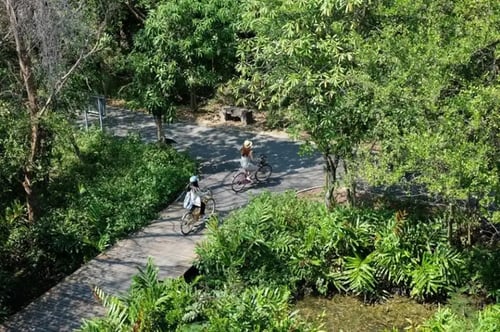 bikers engaged in outdoor activity on a lush trail in bang krachao, bangkok