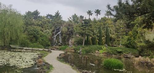 bonsai garden on a peaceful day in jeju