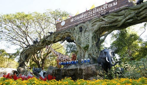 chiang mai zoo, a tourist attraction