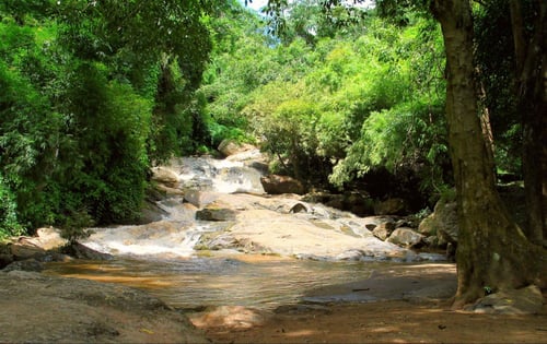 doi suthep-pui national park, a tourist attraction in chiang mai