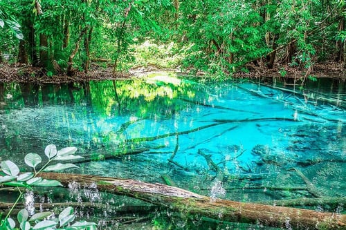 emerald pool, a tourist attraction in krabi