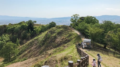 enjoy the best and most attractive views of nara from mount wakakusa