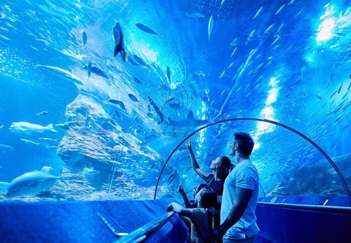 family exploring a sea aquarium attraction in perth for an educational day out