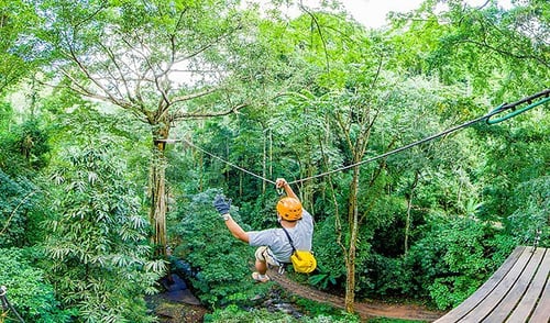 flight of the gibbon, a tourist attraction in chiang mai