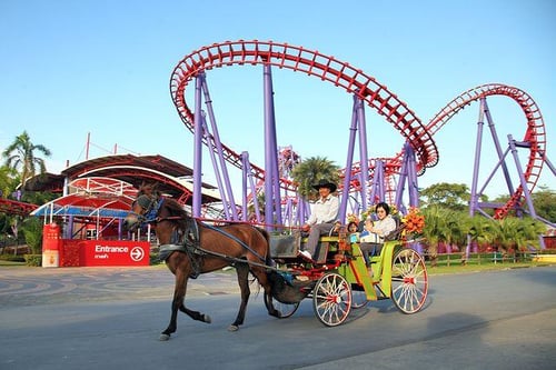 horse-drawn carriage activity in front of a roller coaster in bangkok