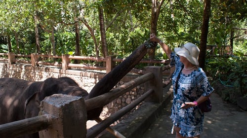 lombok wildlife park, a tourist attraction in lombok