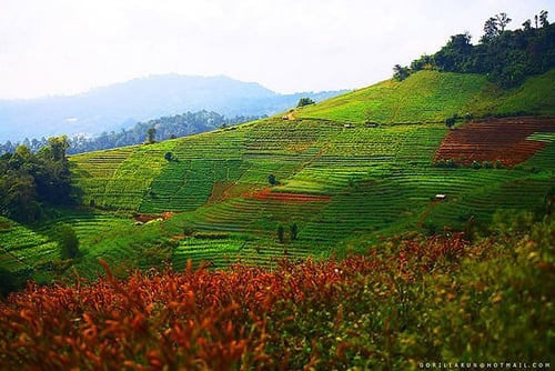 mon cham, a tourist attraction in chiang mai