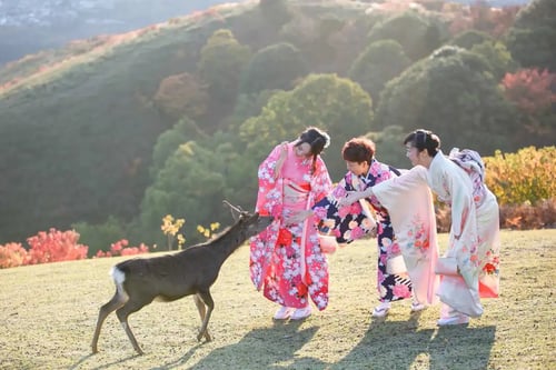 must-try things to do in nara include trying on kimonos