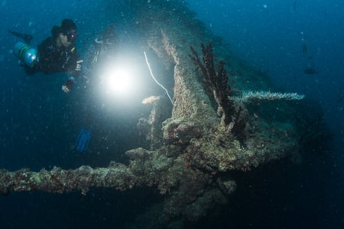 night dive in the gili islands, a thing to do in lombok