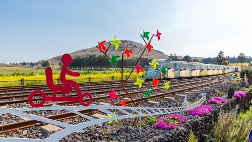 rail bike track with colourful decorations, ideal for a day in jeju