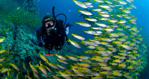 scuba diving in koh lanta, an activity in krabi