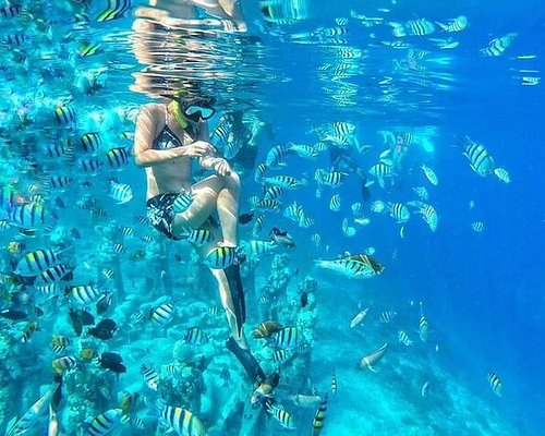 snorkelling and diving, one of the things to do in lombok