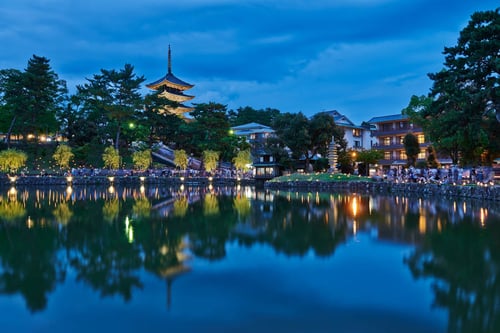 take a stroll around the attracting sarusawa pond park in nara