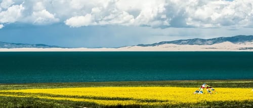 the expansive view of qinghai lake