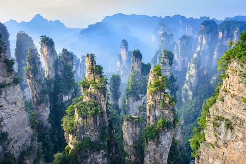 the view of zhangjiajie national forest