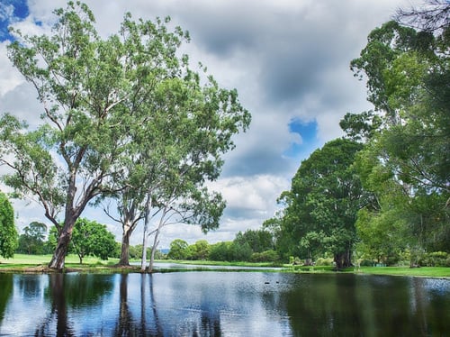 things to do with kids in parks for families visiting gold coast