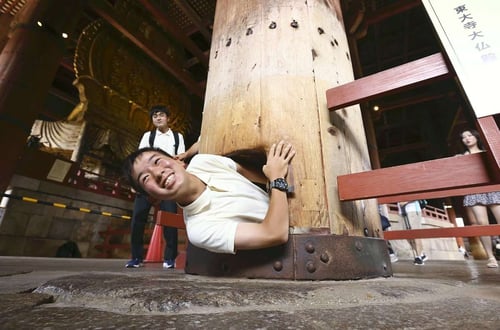 todaiji temple has a unique attraction in nara, and climbing in is one thing you must try to do