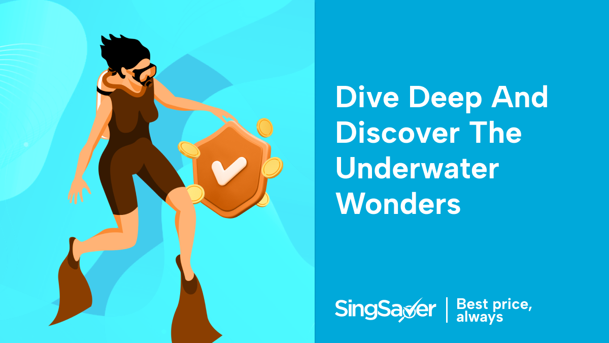 Best Scuba Diving Travel Insurance with Diving Cover