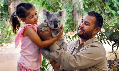 visiting the a wildlife sanctuary is one of the popular things to do in gold coast for families with kids