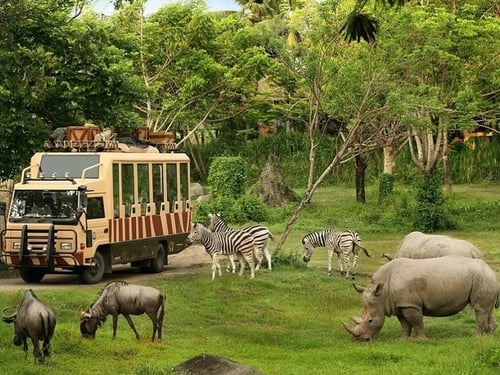wildlife viewing activity from a safari vehicle in bangkok