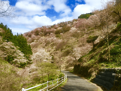 yoshino is home to nara’s attractive and scenic photo spots