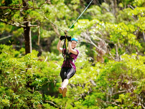 ziplining is one of the best adventurous things to do in gold coast