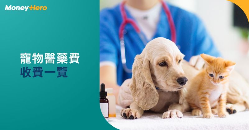 20220107-寵物醫藥費收費一覽-D-PJ1500-Blog-Cover-OP