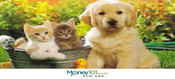 世界各國寵物稅比較-blog